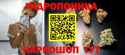 соль курить ск Кингисепп