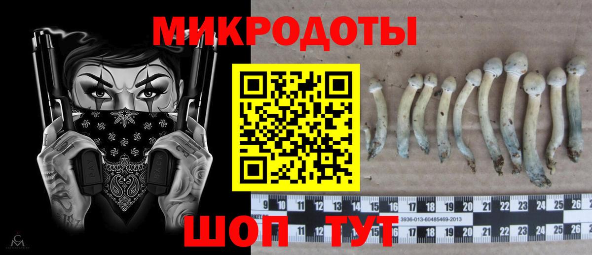 Касимов  Псилоцибиновые грибы мухоморы  Галлюциногенные грибы Cubensis  Вход с VPN 